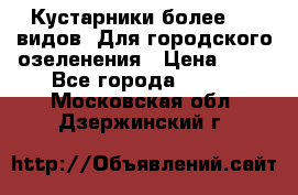 Кустарники более 100 видов. Для городского озеленения › Цена ­ 70 - Все города  »    . Московская обл.,Дзержинский г.